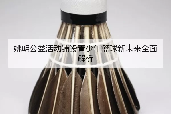 姚明公益活动铺设青少年篮球新未来全面解析